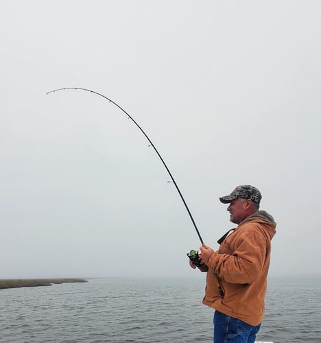 3/4 Day Fishing - 24’ Skeeter in Saint Bernard