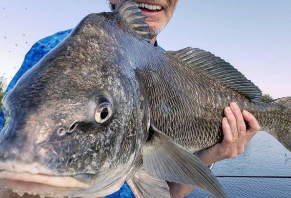 3/4 Day Fishing - 24’ Skeeter in Saint Bernard