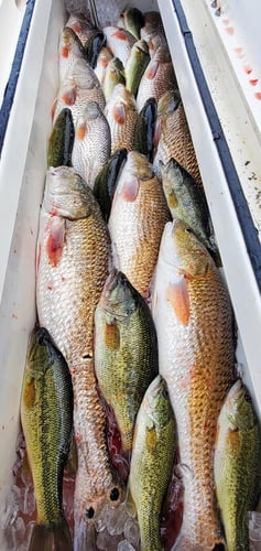 3/4 Day Fishing - 24’ Skeeter in Saint Bernard