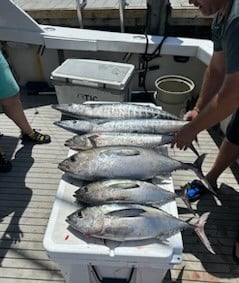 Full Day Trip - 31' Rampage in Pompano Beach