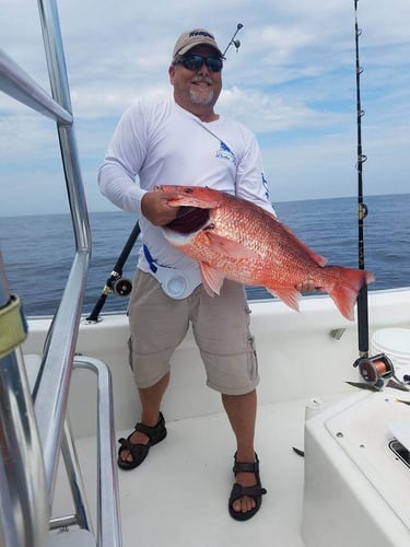 All-Day Action - 20’ Cape Horn In Destin