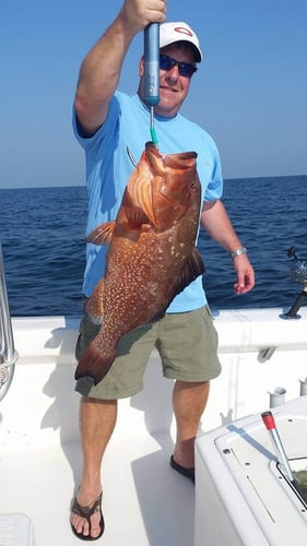 All-Day Action - 20’ Cape Horn In Destin