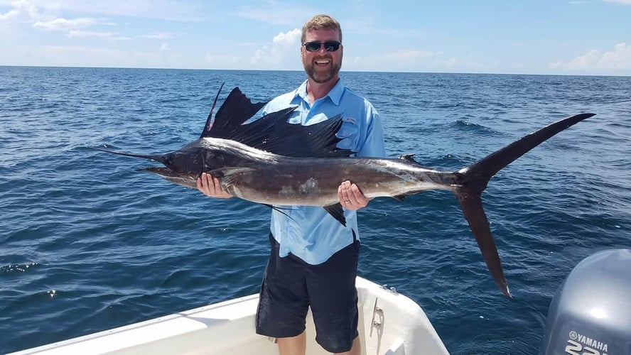 All-Day Action - 20’ Cape Horn In Destin