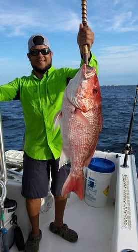 All-Day Action - 20’ Cape Horn In Destin