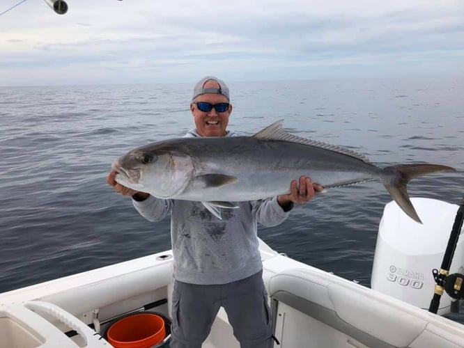 Destin Bottom Fishing - 40' Infinity in Destin