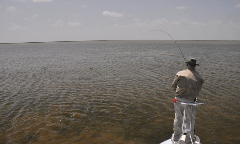 Sight Casting Safari In Rockport