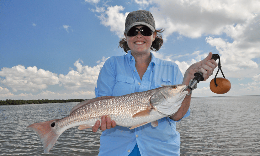 Sight Casting Safari In Rockport