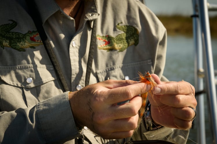 Sight Casting Safari In Rockport