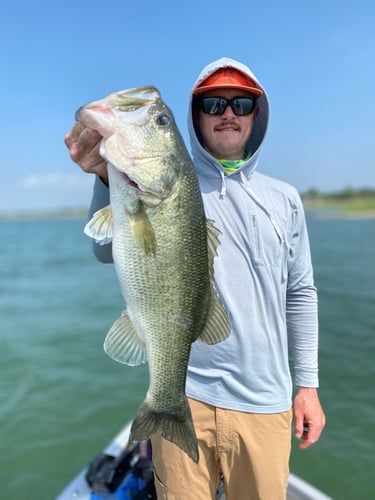 Lake Travis Bass Fishing In Lago Vista