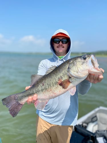 Lake Travis Bass Fishing In Lago Vista