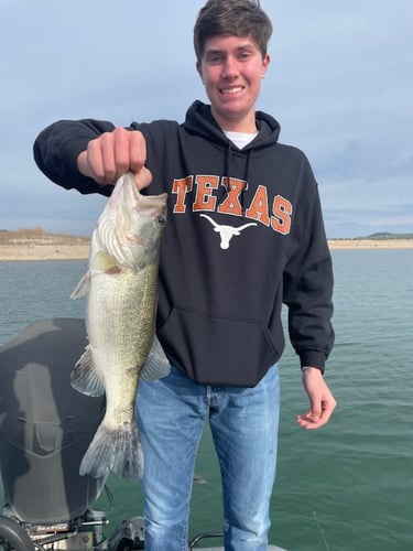 Lake Travis Bass Fishing In Lago Vista