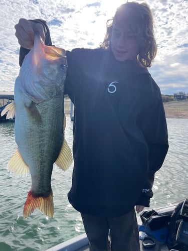 Lake Travis Bass Fishing In Lago Vista