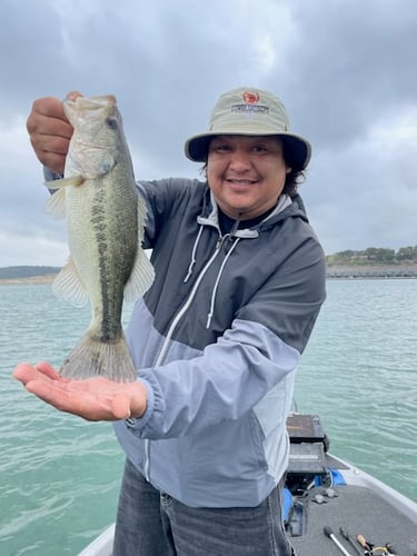 Lake Travis Bass Fishing In Lago Vista