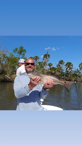St. Augustine Inshore Hook-Up in St. Augustine