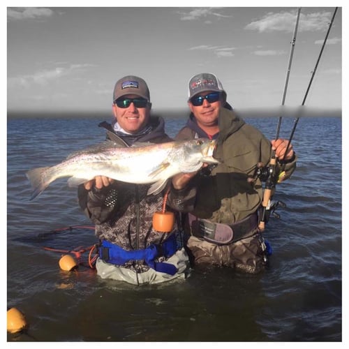 East/West Matagorda Bay in Bay City