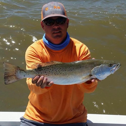 East/West Matagorda Bay in Bay City