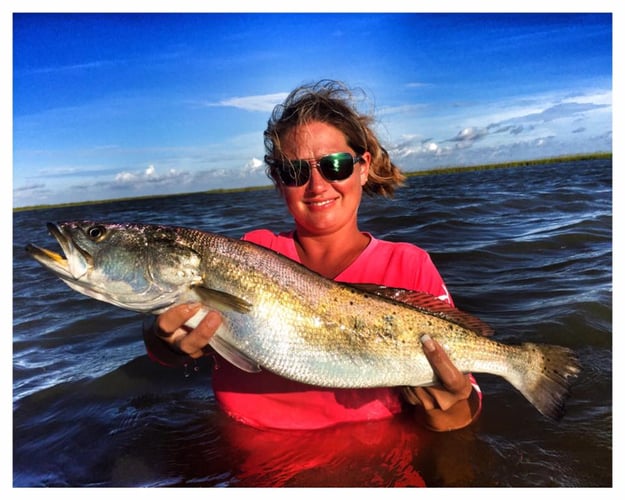 East/West Matagorda Bay in Bay City