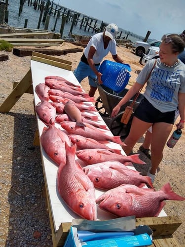 Ultimate Pensacola Fishing Trip In Pensacola