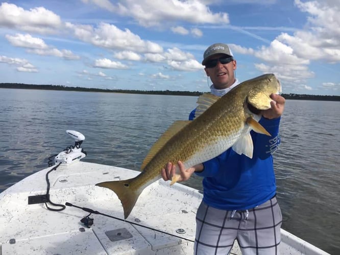 Alabama Reds And More In Gulf Shores