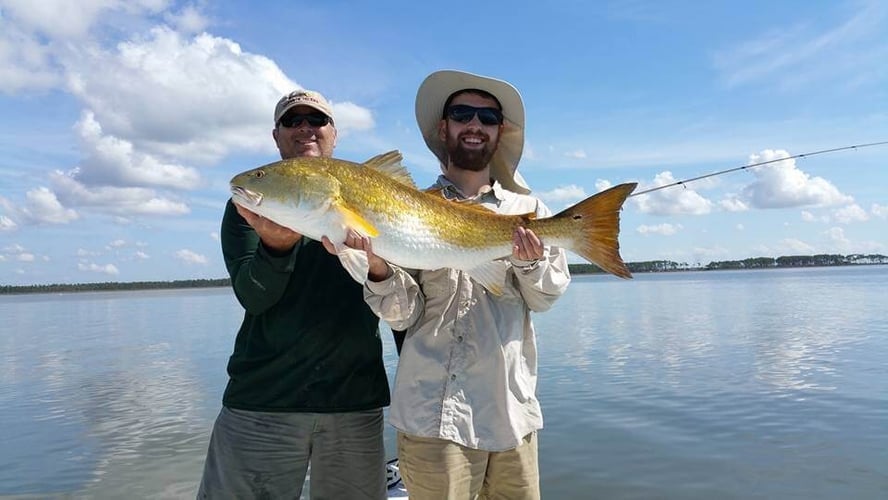 Alabama Reds And More In Gulf Shores