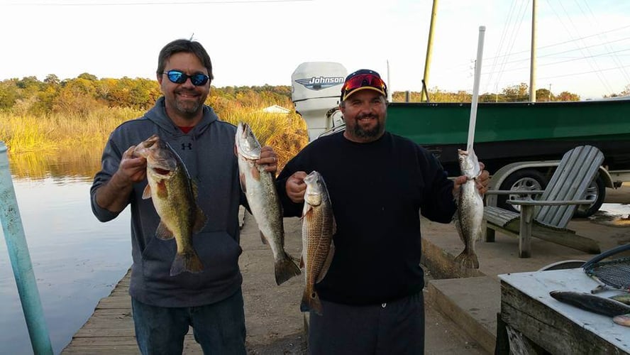 Alabama Reds And More In Gulf Shores