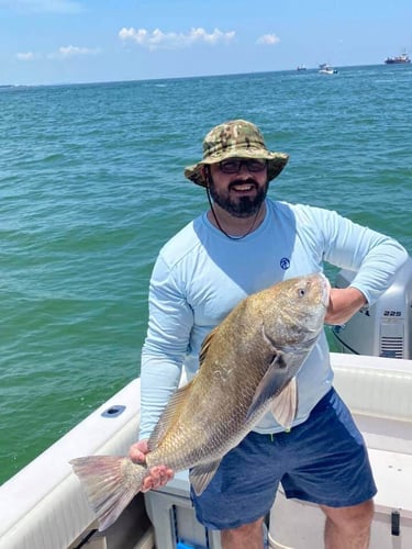 Alabama Reds And More In Gulf Shores