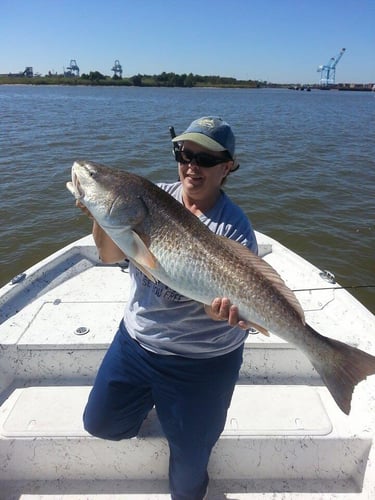 Alabama Reds And More In Gulf Shores