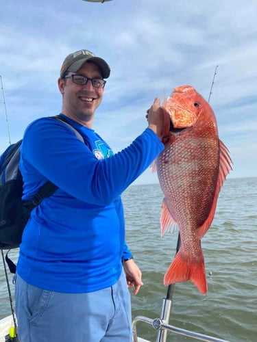 Alabama Reds And More In Gulf Shores