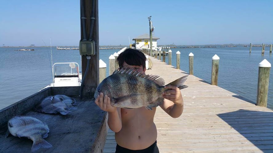 Alabama Reds And More In Gulf Shores