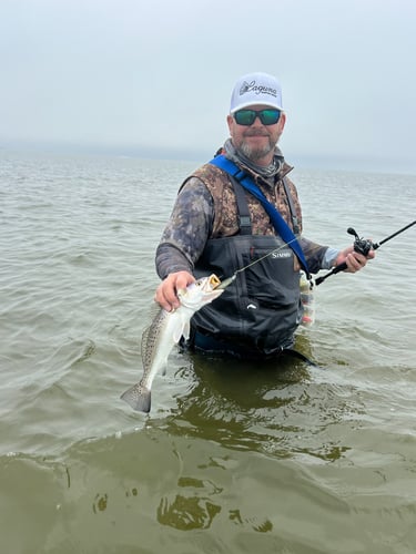 Galveston Bay Fishing In Texas City