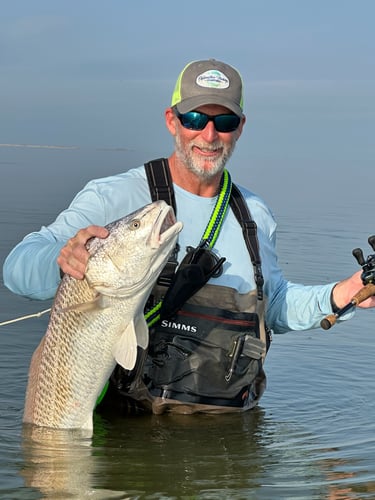 Galveston Bay Fishing In Texas City