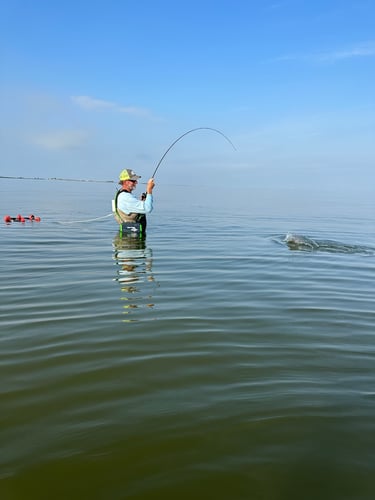 Galveston Bay Fishing In Texas City