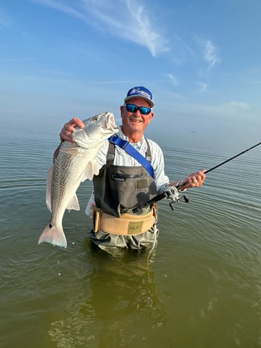 Galveston Bay Fishing In Texas City