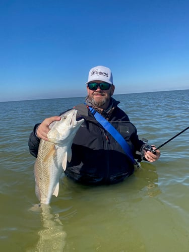 Galveston Bay Fishing In Texas City