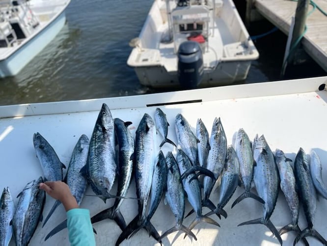 Epic Inshore Adventure - 24' Sea Pro In Gulf Shores