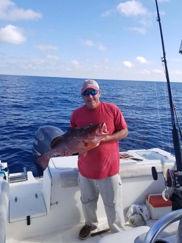 PCB Reefs and Trolling in Panama City Beach