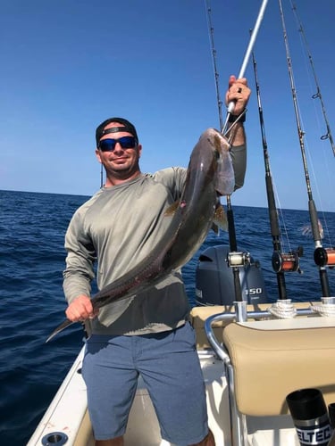 PCB Reefs and Trolling in Panama City Beach