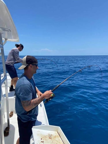 PCB Reefs and Trolling in Panama City Beach