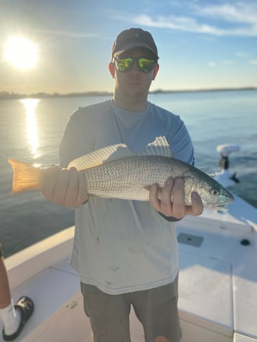 Inshore Light Tackle Trip In St. Augustine