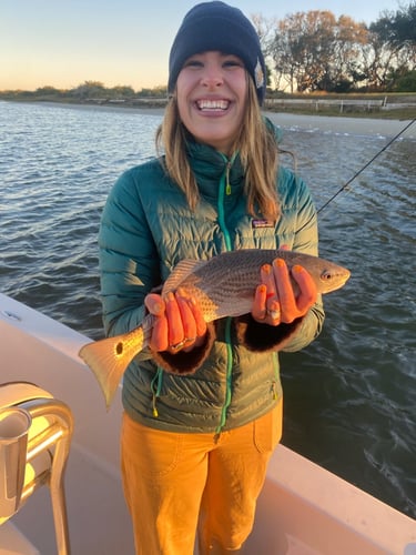 Inshore Light Tackle Trip In St. Augustine