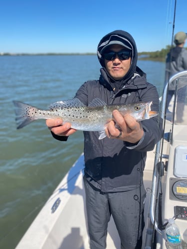 Inshore Light Tackle Trip In St. Augustine