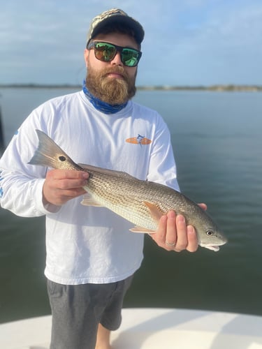 Inshore Light Tackle Trip In St. Augustine