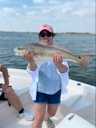 Inshore Light Tackle Trip In St. Augustine