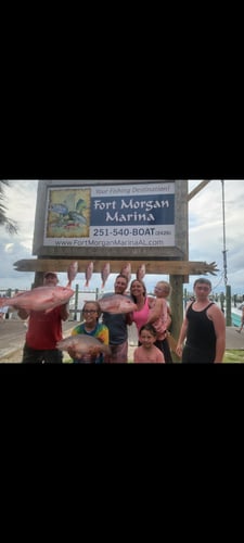 Fort Morgan Bottom Fishing Trip - 38' Luhrs