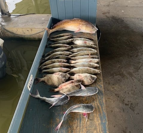 Galveston Jetty/Ship Channel 30ft Seahunt In Galveston