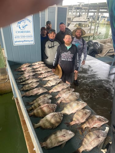 Galveston Jetty/Ship Channel 30ft Seahunt In Galveston