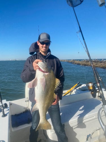 Galveston Jetty/Ship Channel 30ft Seahunt In Galveston