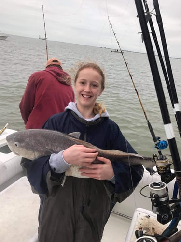 Galveston Jetty/Ship Channel 30ft Seahunt In Galveston