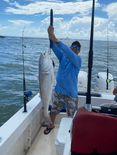 Galveston Jetty/Ship Channel 30ft Seahunt In Galveston