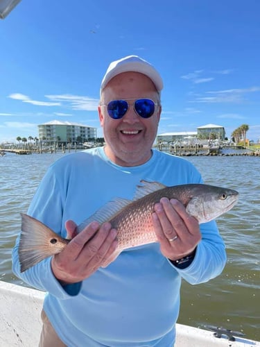 Gulf Shores Inshore Trip in Gulf Shores